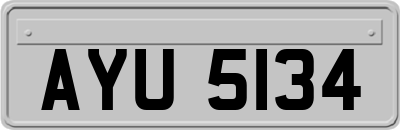 AYU5134