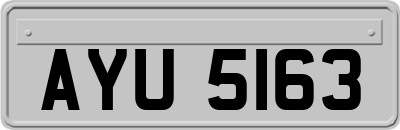 AYU5163