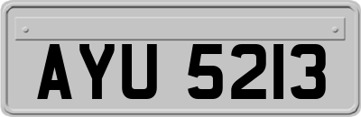 AYU5213