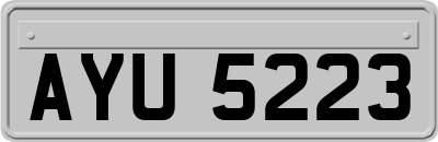 AYU5223