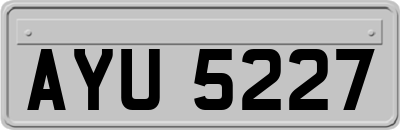 AYU5227