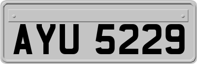 AYU5229