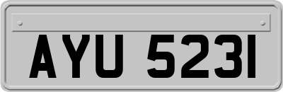 AYU5231