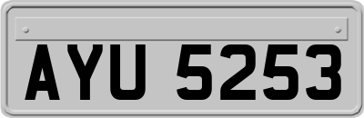 AYU5253