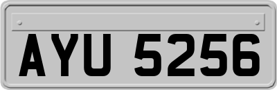 AYU5256