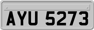 AYU5273