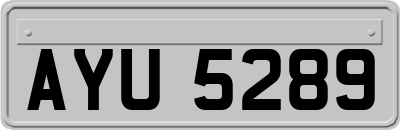AYU5289