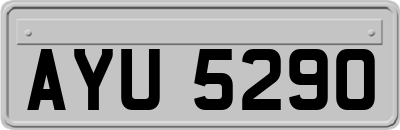 AYU5290