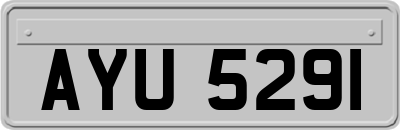 AYU5291