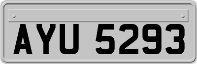AYU5293