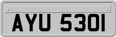 AYU5301