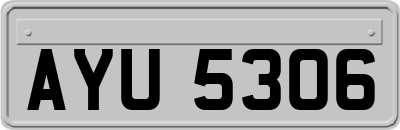 AYU5306
