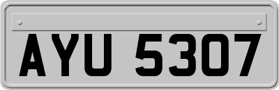 AYU5307