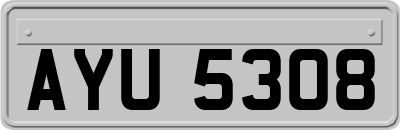 AYU5308