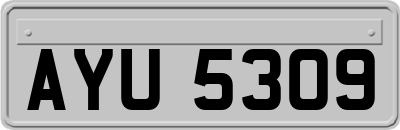 AYU5309