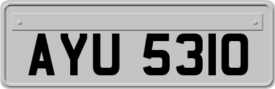 AYU5310