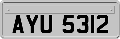 AYU5312