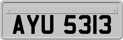 AYU5313