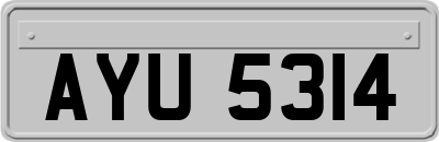 AYU5314
