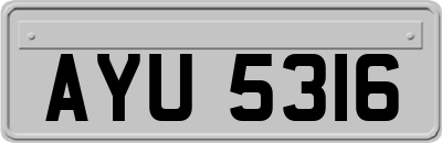 AYU5316