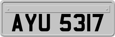 AYU5317