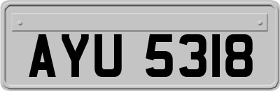 AYU5318