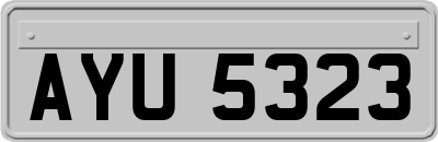 AYU5323