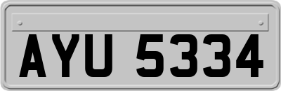 AYU5334