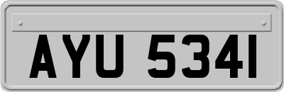 AYU5341