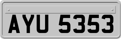 AYU5353