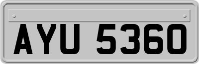 AYU5360