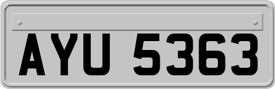 AYU5363