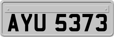 AYU5373