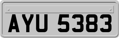 AYU5383