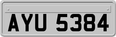 AYU5384