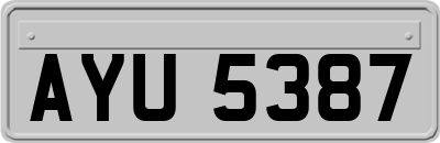 AYU5387