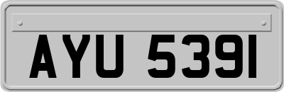 AYU5391