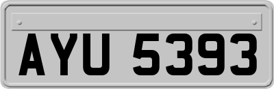 AYU5393