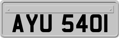 AYU5401