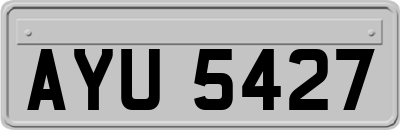 AYU5427