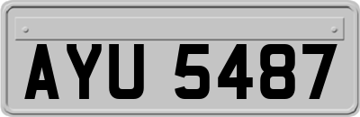 AYU5487