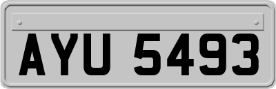 AYU5493