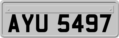 AYU5497