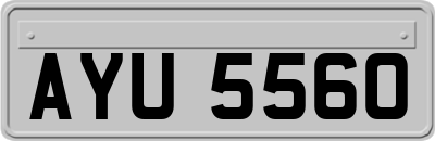 AYU5560