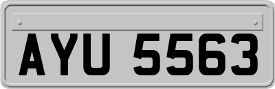 AYU5563