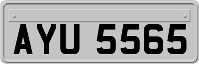 AYU5565