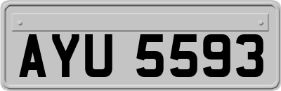AYU5593