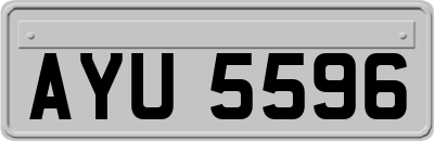 AYU5596
