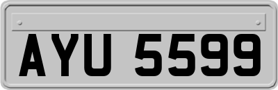 AYU5599