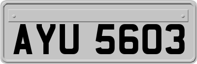 AYU5603
